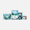 INVITATION SET - 2025 KEYLAND  Uncanny Valley MD