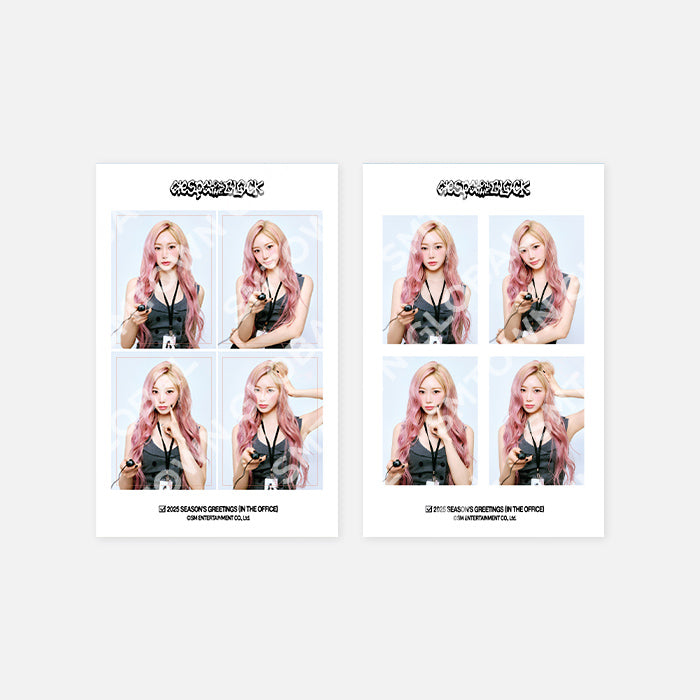 4 CUT PHOTO SET - 2025 SM ARTIST SEASON'S GREETINGS MD