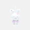 14CM DOLL - 2026 IRENE ASIA TOUR [ I-WILL ] in SEOUL MD